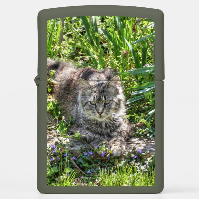 Cat During Eclipse Zippo Lighter (Front)