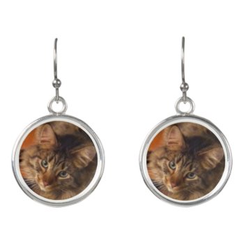 Cat Earrings by KEW_Sunsets_and_More at Zazzle