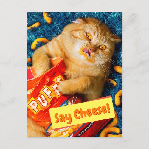 Cat Eating Cheese Puffs Invitation Postcard
