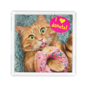 Cat Eating Donut Acrylic Tray