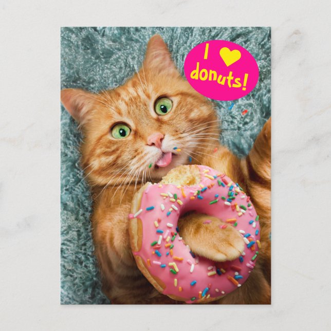 Cat Eating Donut Invitation Postcard (Front)
