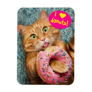 Cat Eating Donut Magnet
