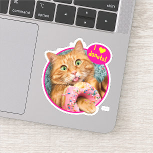 Cat Eating Donut Sticker