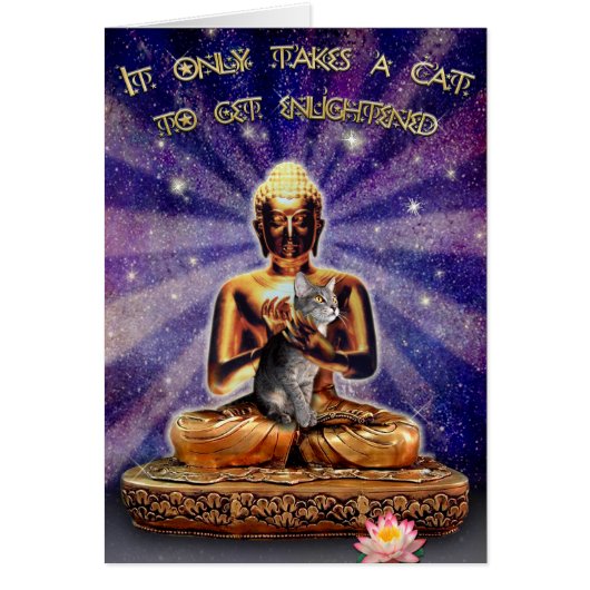Cat Enlightenment Cards (Front)