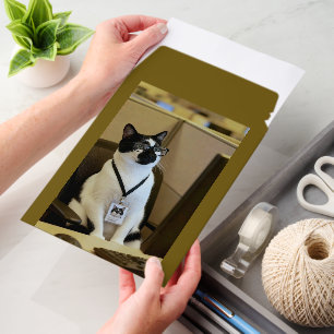 Cat Envelope Mailers