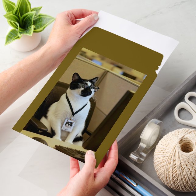 Cat Envelope Mailers (Desk)