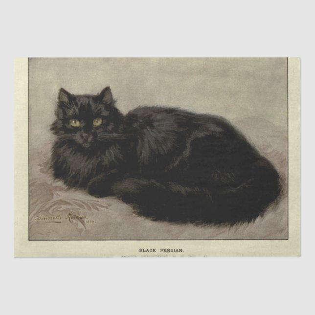 Cat Ephemera Decoupage Black Persian Tissue Paper (Front)
