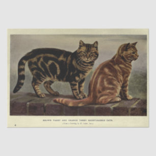 Cat Ephemera Decoupage Brown Orange Tabby Tissue Paper