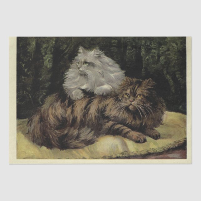 Cat Ephemera Decoupage Brown Tabby Silver Persian Tissue Paper (Front)