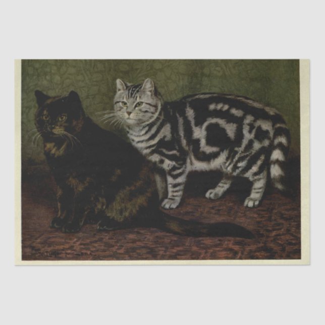 Cat Ephemera Decoupage Tortoiseshell Silver Tabby Tissue Paper (Front)