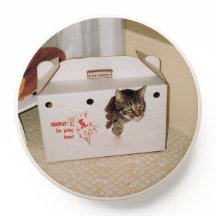 Cat Escapes Carrier popsocket