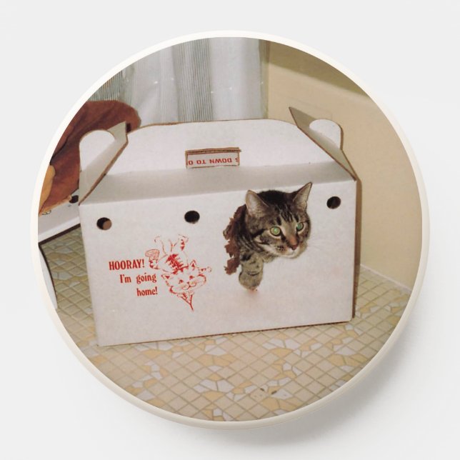 Cat Escapes Carrier popsocket (Popsocket)