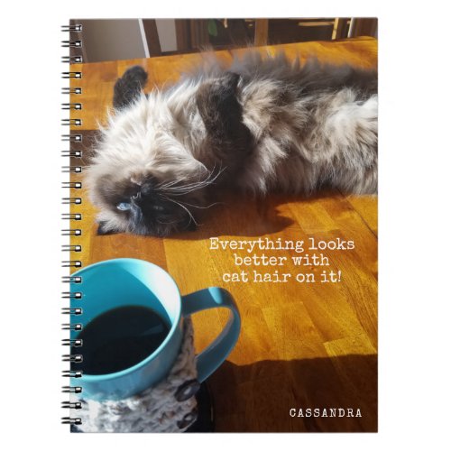 Cat EVERYTHING LOOKS BETTER WITH CAT HAIR Notebook
