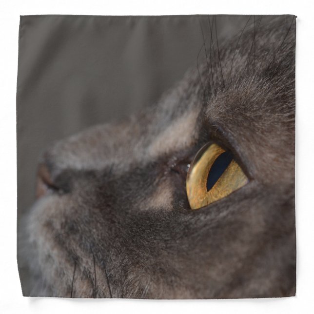 Cat Eye-Macro by Shirley Taylor Bandana (Front)