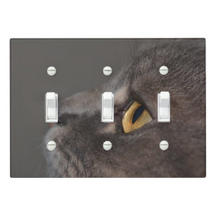 Cat Eye-Macro by Shirley Taylor Light Switch Cover