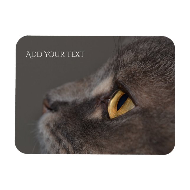 Cat Eye-Macro by Shirley Taylor Magnet (Horizontal)