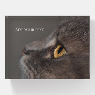 Cat Eye-Macro by Shirley Taylor Paperweight