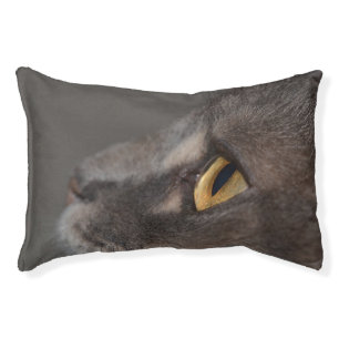 Cat Eye-Macro by Shirley Taylor Pet Bed