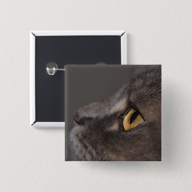 Cat Eye-Macro by Shirley Taylor Pinback Button (Front & Back)