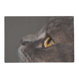 Cat Eye-Macro by Shirley Taylor Placemat