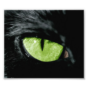 Cat eye photo print