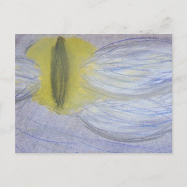 cat eyed moon postcard (Front)