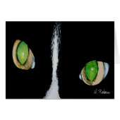 Cat Eyes (Front Horizontal)