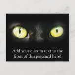 Cat Eyes, Black and Yellow Stare Postcard
