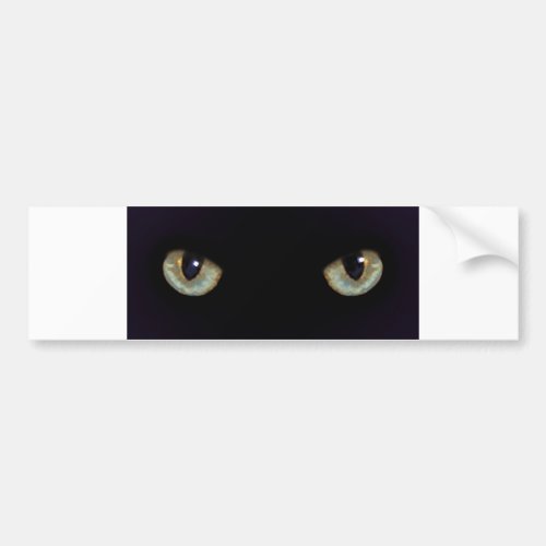 Cat_eyes Bumper Sticker