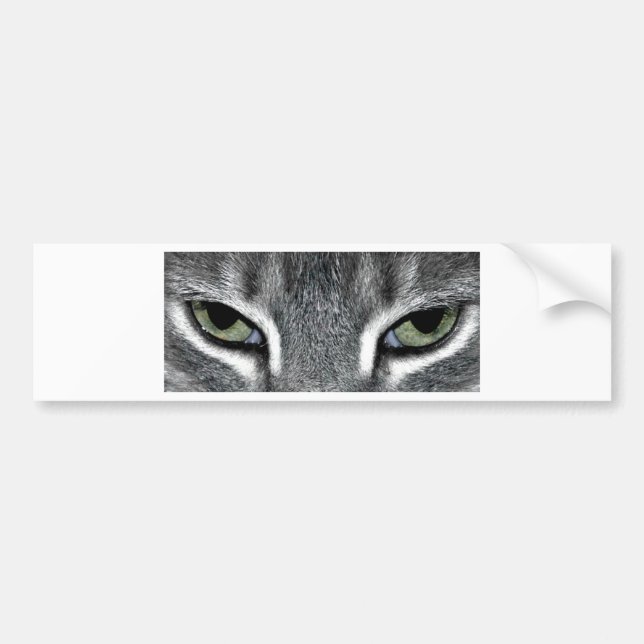 Cat Eyes Bumper Sticker (Front)