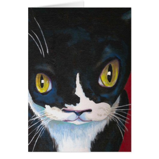 Cat Eyes Cards (Front)