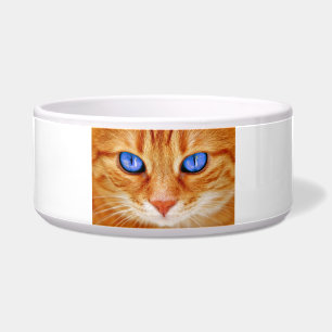 Cat Eyes Face Tiger mackerel red Cat Bowl