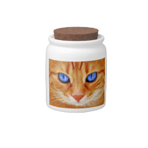 Cat Eyes Face Tiger mackerel red Cat Candy Jar