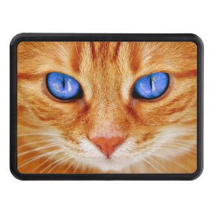 Cat Eyes Face Tiger mackerel red Cat Hitch Cover