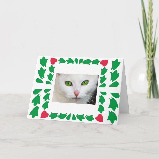 Cat Eyes Greeting Card (Front)