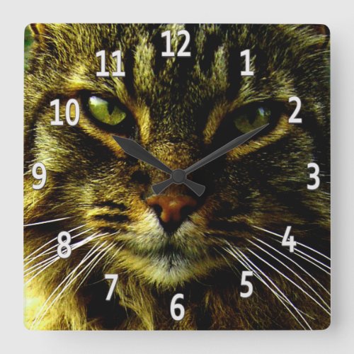 Cat Eyes Hypnotizing Framed Photo Square Wall Clock