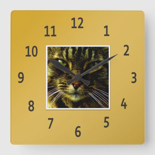 Cat Eyes Hypnotizing Golden Framed Photo Square Wall Clock