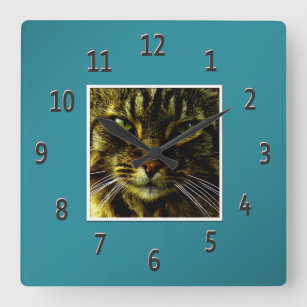 Cat Eyes Hypnotizing Teal Framed Photo Square Wall Clock