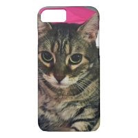 Cat Eyes Phone Case