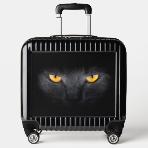 Cat Eyes Pilot Case Luggage
