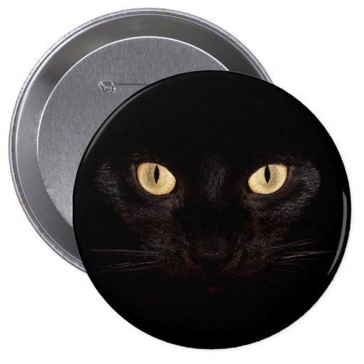 CAT EYES PINBACK BUTTON | Zazzle