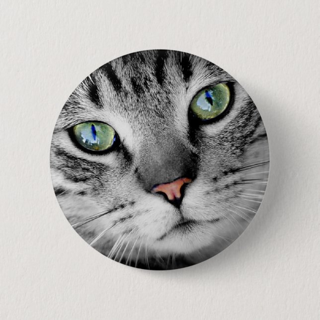 Cat eyes pinback button (Front)