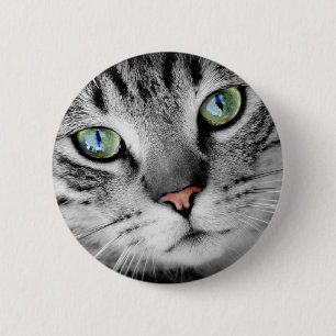Cat eyes pinback button