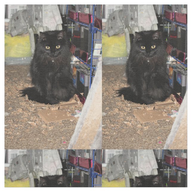 Cat Fabric (Close Up)