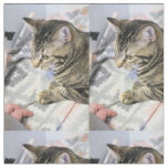 Cat Fabric