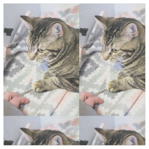 Cat Fabric