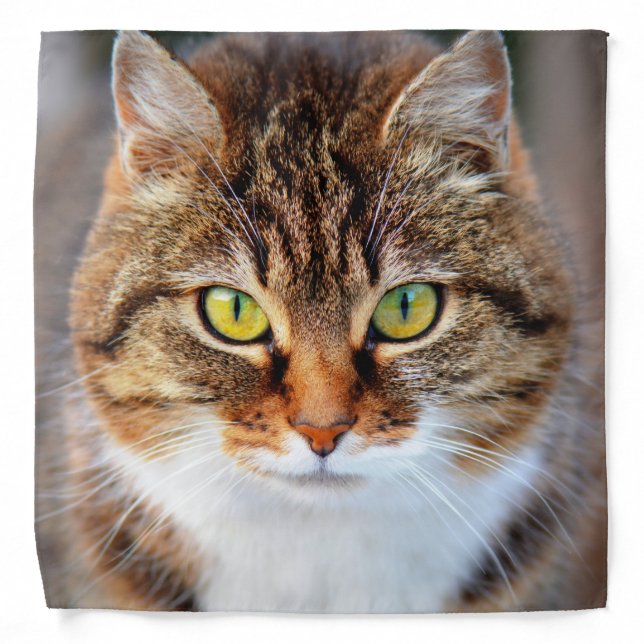 Cat face bandana (Front)