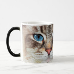 Cat face blue eyes purrr-fection morphing mug