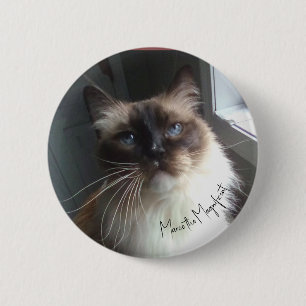 Cat face button features Marco the Magnificent.
