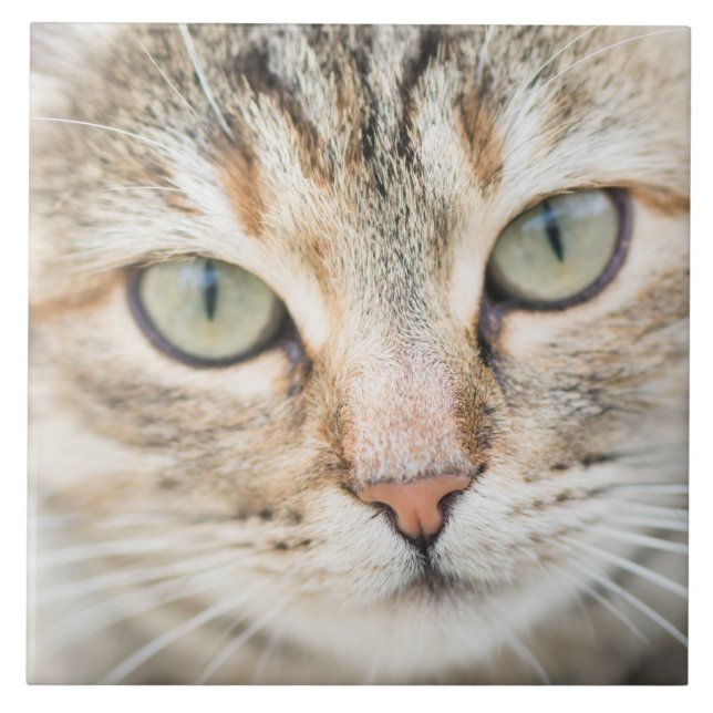 Cat face ceramic tile (Front)